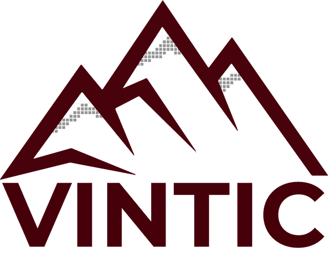 VINTIC