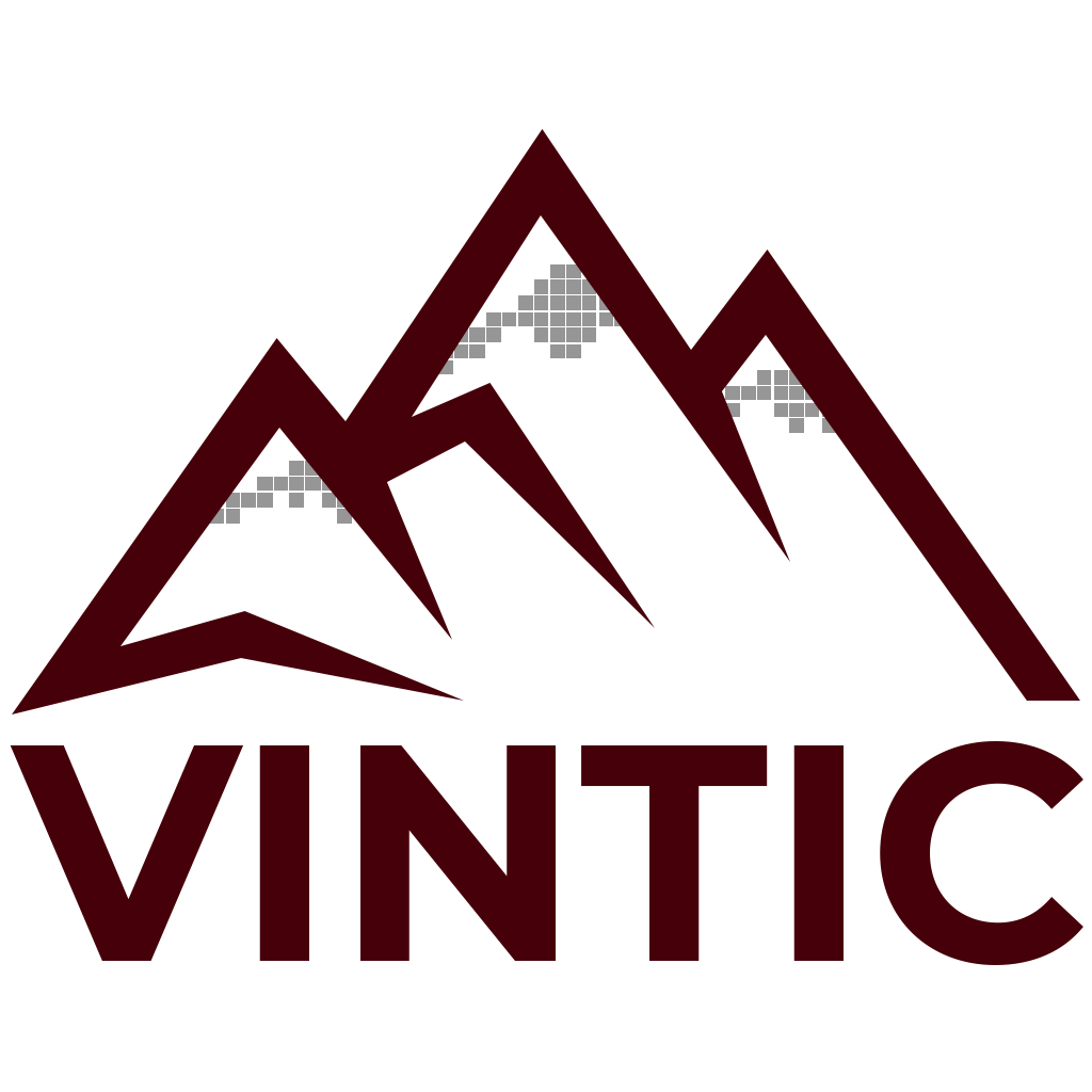VINTIC Logo